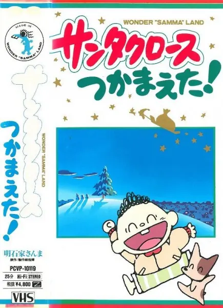 Боевой мастер